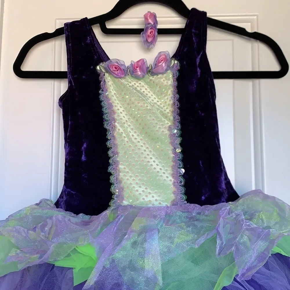 Gorgeous fairy princess ballet dress / costume Purple & Green. matching barrette